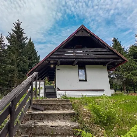 Bialy - Z Sauna, Balia I Basenem * Мендзыбродзе-Живецке